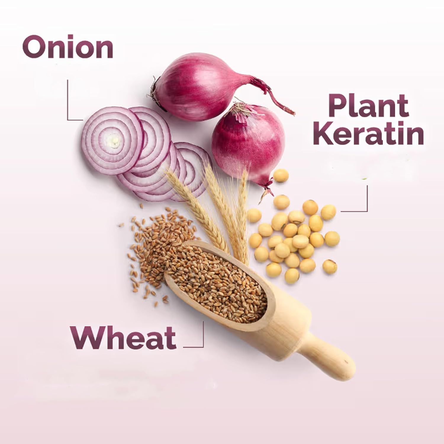 Mamaearth Onion Shampoo for Hair Growth and Hair Fall Control with Onion and Plant Keratin | Reduces Hair Fall | Strengthens & Smoothens Hair | For Men & Women | 400ml - Image 5