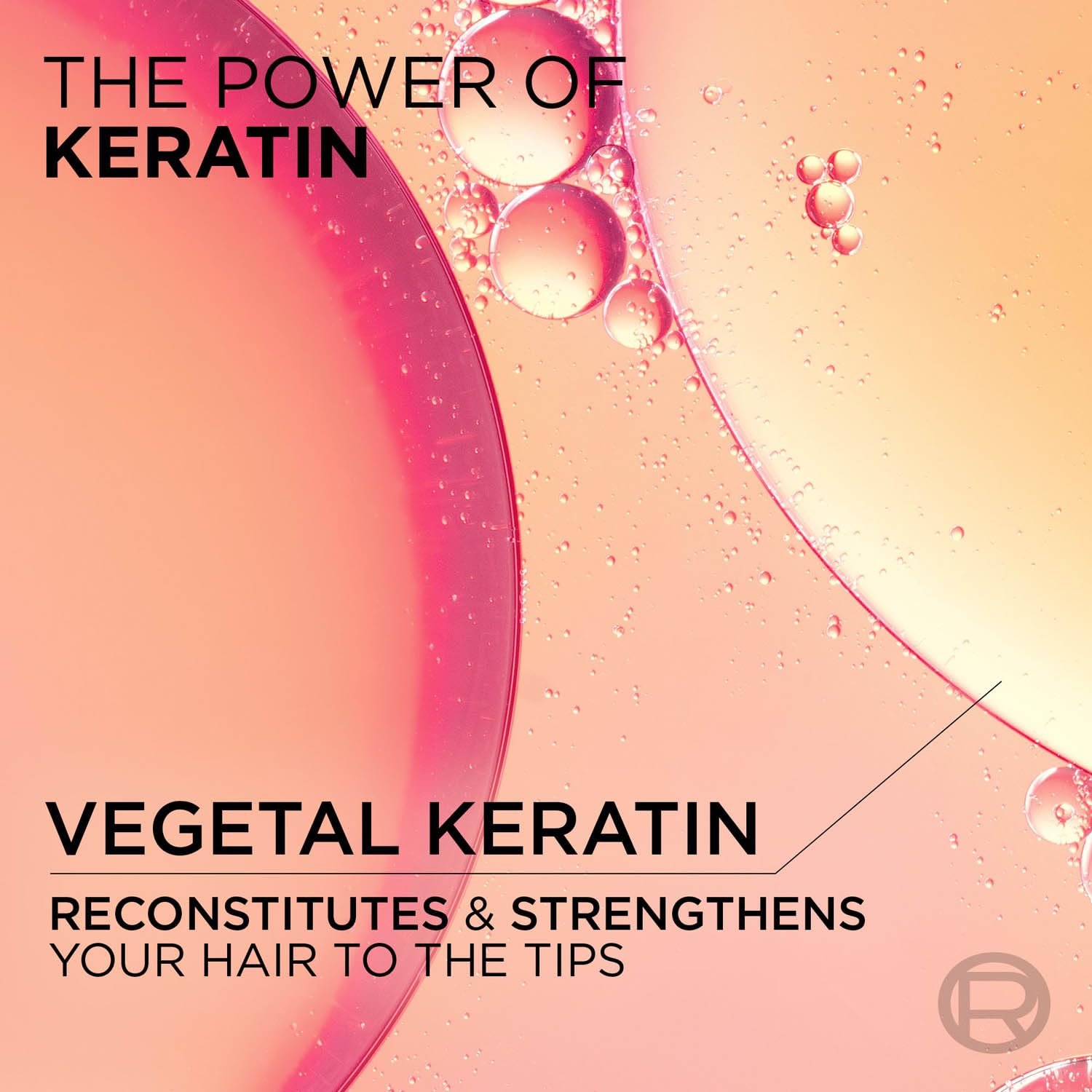 L'Oreal Paris Shampoo, Nourishes, Repair & Shine, For Long and Lifeless Hair, Dream Lengths, 340 ml - Image 5